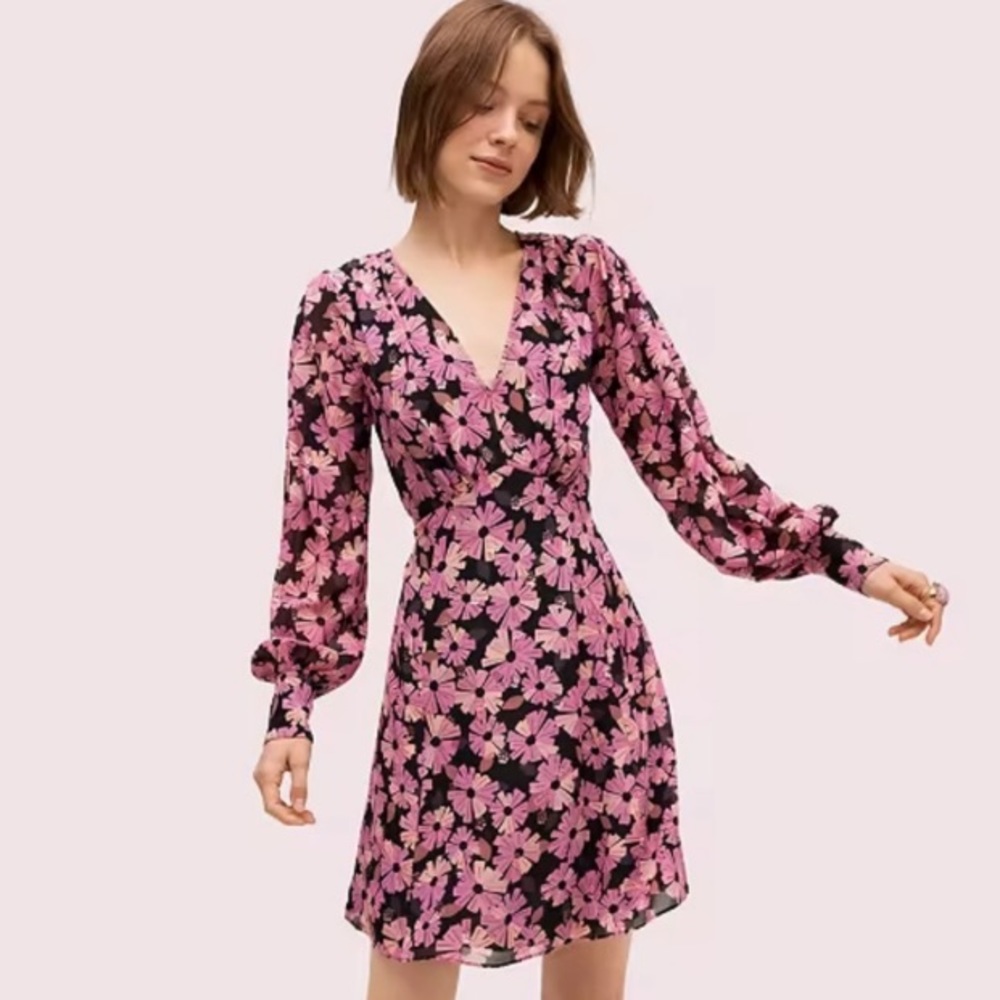 Kate Spade WallFlower Chiffon Dress